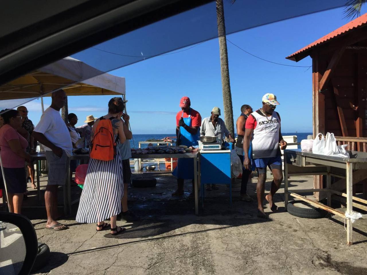 ル・カルベT2 Tropical En Bord De Piscine A 100M De La Merアパートメント エクステリア 写真
