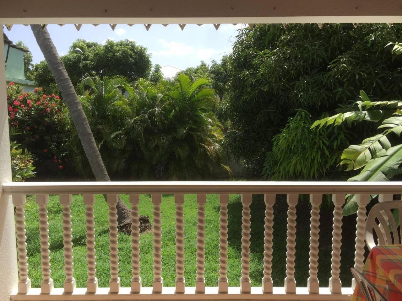 ル・カルベT2 Tropical En Bord De Piscine A 100M De La Merアパートメント エクステリア 写真
